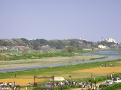 080406_1.jpg